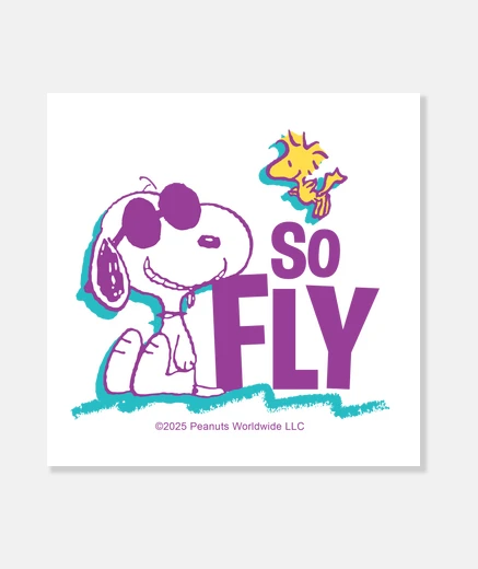 Wall snoopy so fly