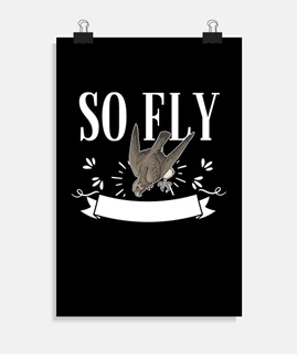 So Fly Falcon Bird Watching