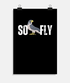 So Fly Falcon Bird Watching