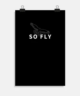 So Fly Falcon Bird Watching