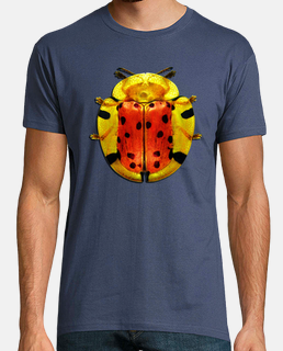 Spotted tortoise beetle-Escarabajo tortuga manchado