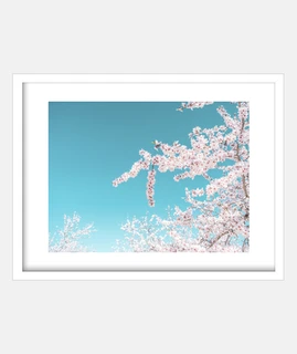 Spring sky