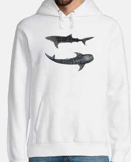 squali balena jersey