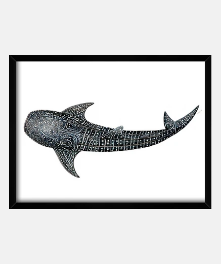 Quadro squalo balena per sub tela