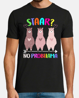 STAAR Texas State No Probllama test day Cute Graphic Llama Colorful Gift for students