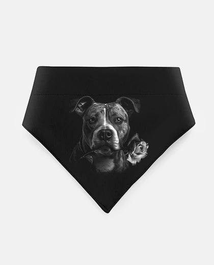 Mascotas Staffordshire Bull Terrier dessin réaliste balle dresage 