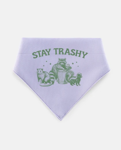 Mascotas STAY TRASHY MAPACHE