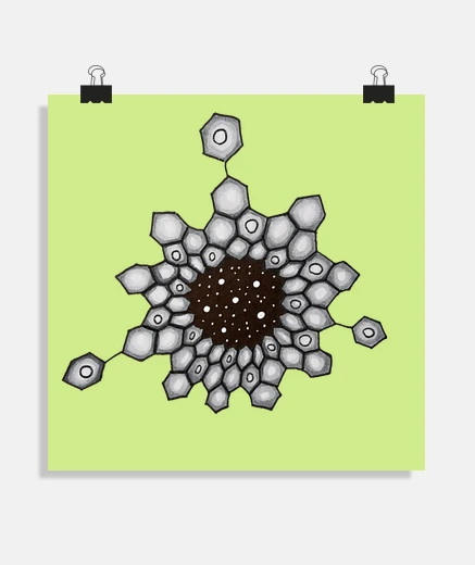 Poster stelle aromatiche di chimica organica