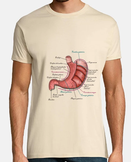 T-shirt stomaco - illustrazione di anatomia umana - t-shirt