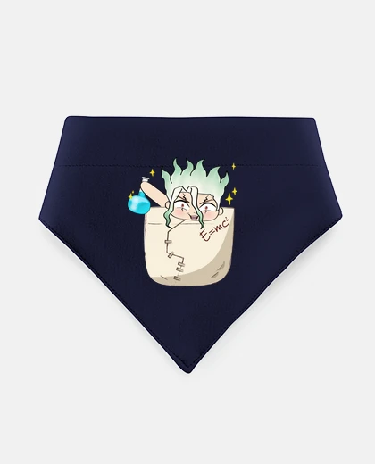 Mascotas stone scientist - pocket