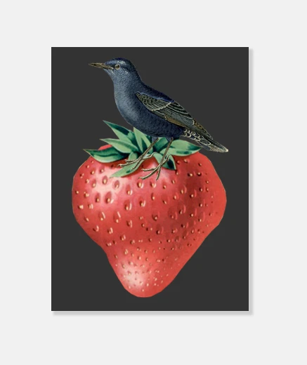 Wall strawberry bird