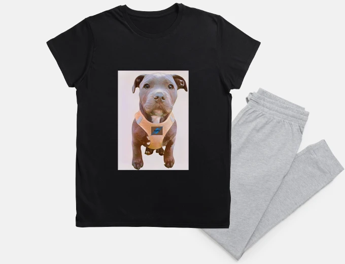 Pyjama street art staffy