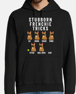 stub born bull dog francesee marrone t 