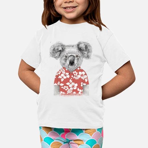 summer koala