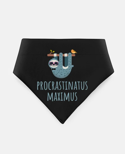 Mascotas Super paresseux