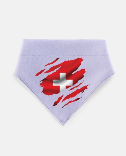 Mascotas Svizzera Bandiera svizzera