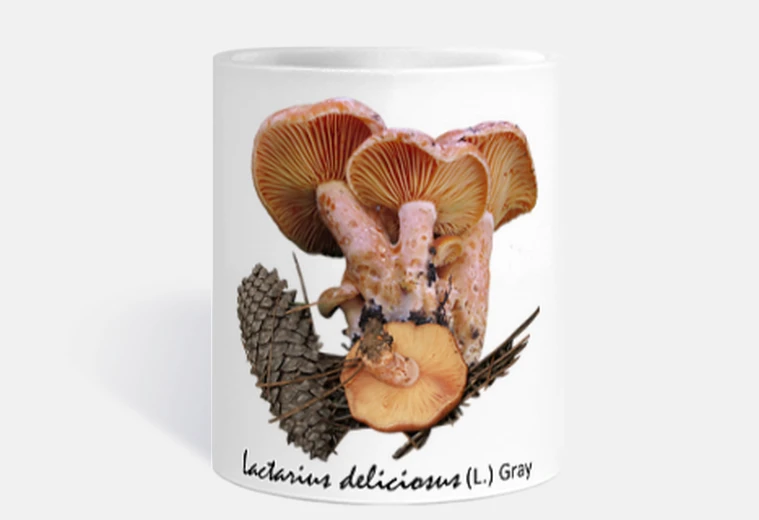 T Lactarius deliciosus
