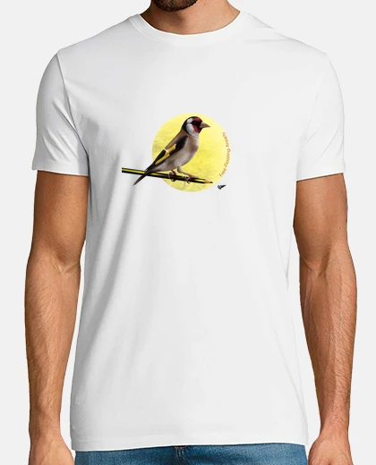 Tee-shirt t-shirt homme poisson rouge