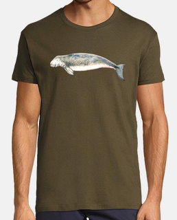 t-shirt dugong (dugong dugon)