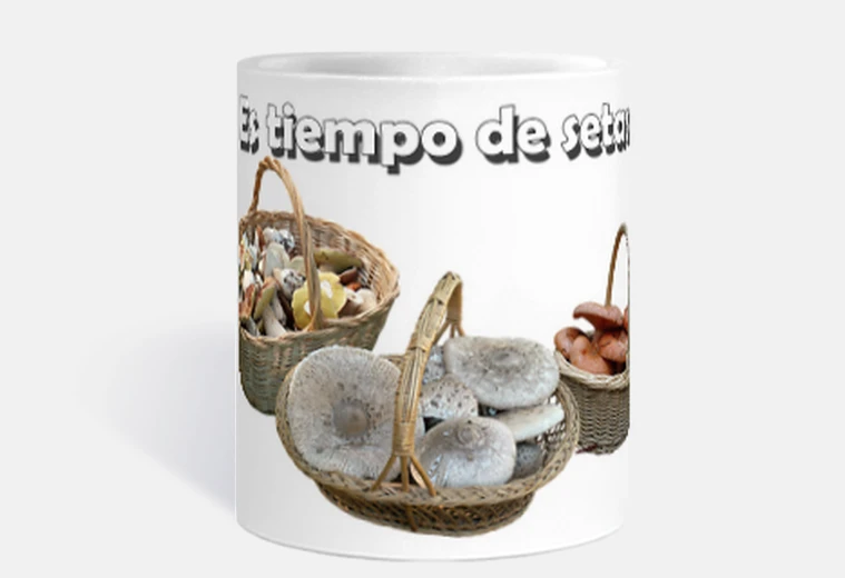 T Tiempo de setas