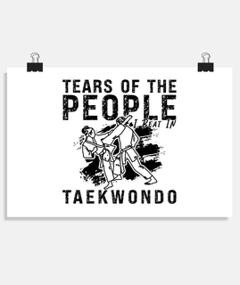 Taekwondo Tears Of The People Fight