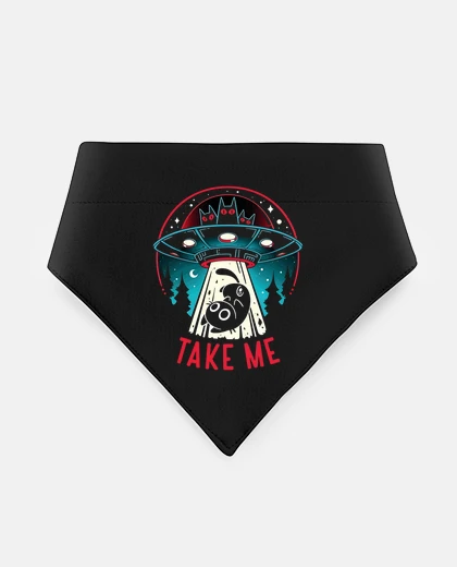 Mascotas Take Me - UFO and Cat Abduction Whimsy
