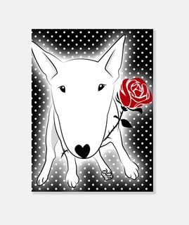 taureau terrier topos rose