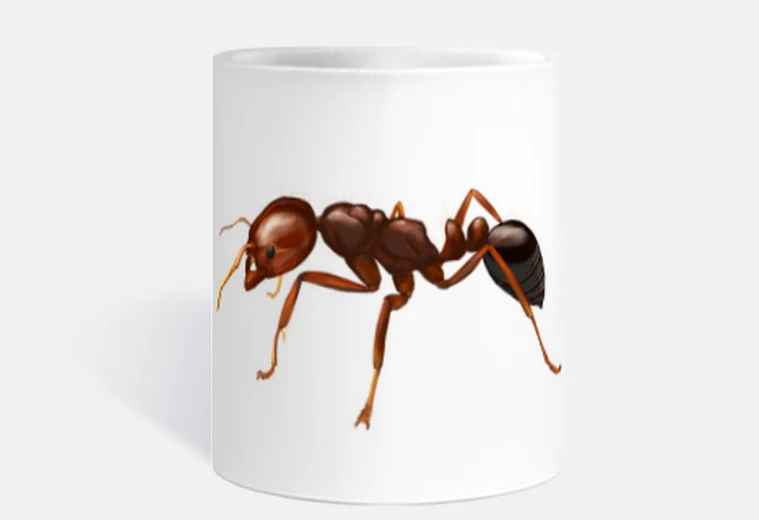 Taza hormiga