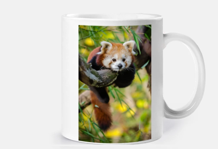 Tazza tazza in ceramica, giovane panda rosso cina , albero