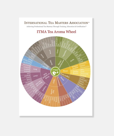 Wall tea aroma wheel