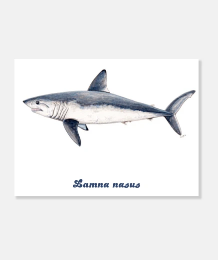 Stampa tela smeriglio (smeriglio)