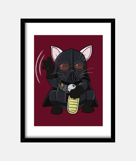 Quadro telaio catvaider
