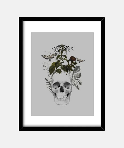 Quadro teschio con fiori e animali