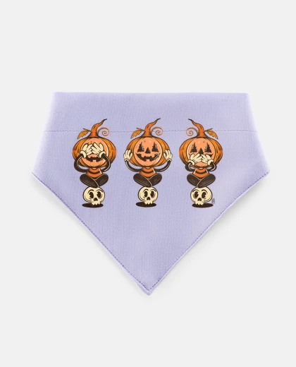 Mascotas The 3 wise pumpkins