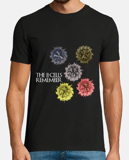The B-cells Remember oscura HMC