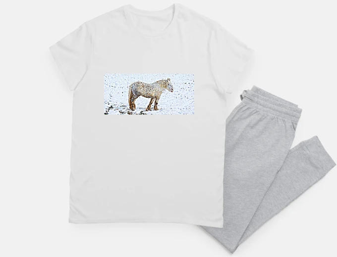 Pyjama the beautiful percheron