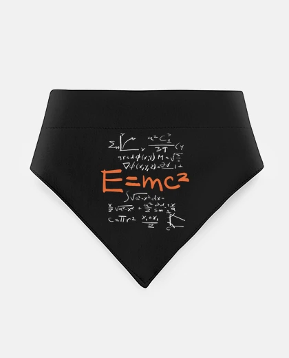 Mascotas Theorie de la relativité Mathématiques
