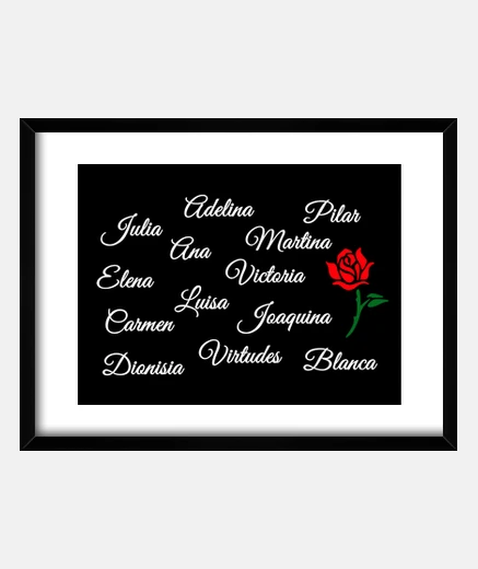 Framed thirteen roses 13 roses