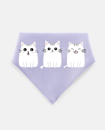 Mascotas Three Cats Kittens with Emotions Laughi