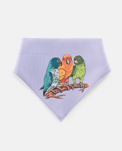 Mascotas three parakeets on a tree branch