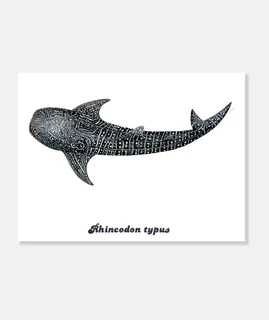 Tiburón ballena para buceadores lienzo