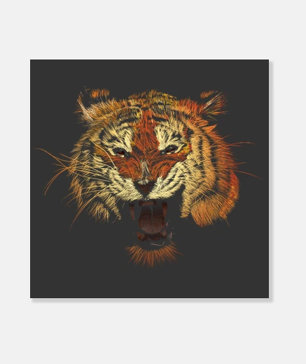 Wall tiger roar color