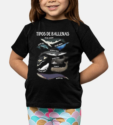 Ropa Tipos De Ballenas Peces Animales Mar Océano Amantes De La Ballena