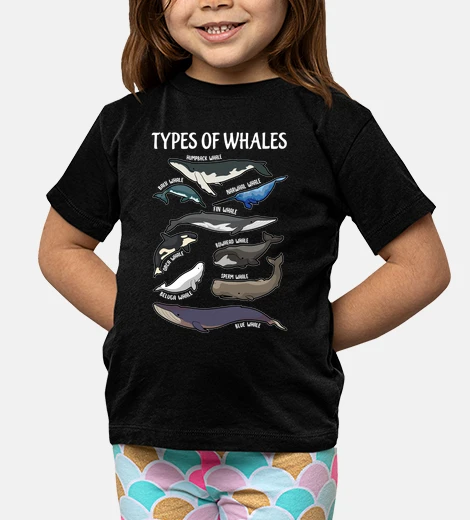 Ropa Tipos De Ballenas Peces Animales Mar Océano Amantes De La Ballena En Inglés