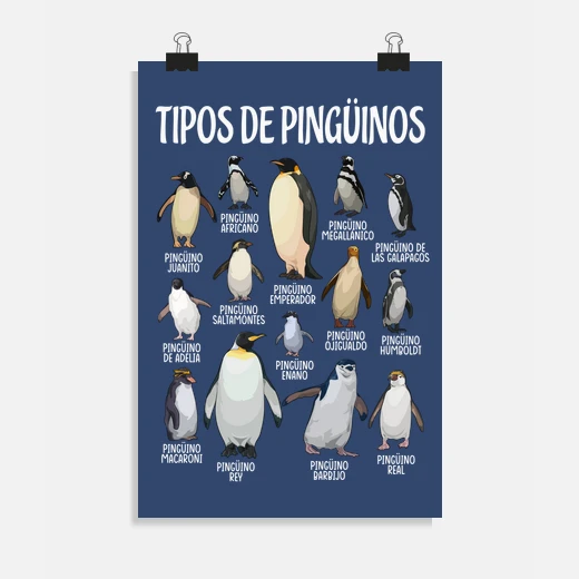 Póster tipos de pingüinos amante del pigüino animales | laTostadora