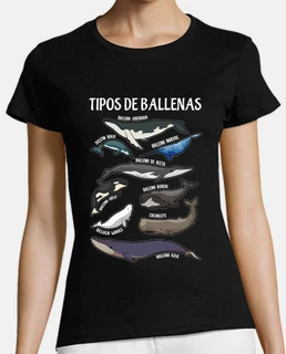 Tipos De Ballenas Ilustaciones Espanol