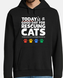 today is a good day to rescue cats