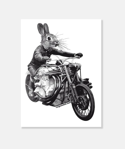 Tableau toile de lapin rapide