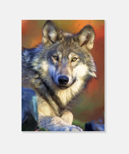 Tableau Toile Loup gris