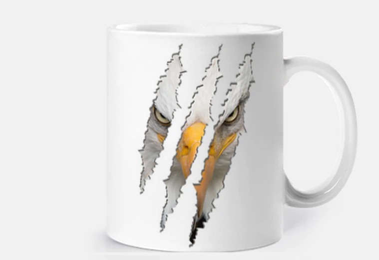 Cup torn scratch eagle face face beak